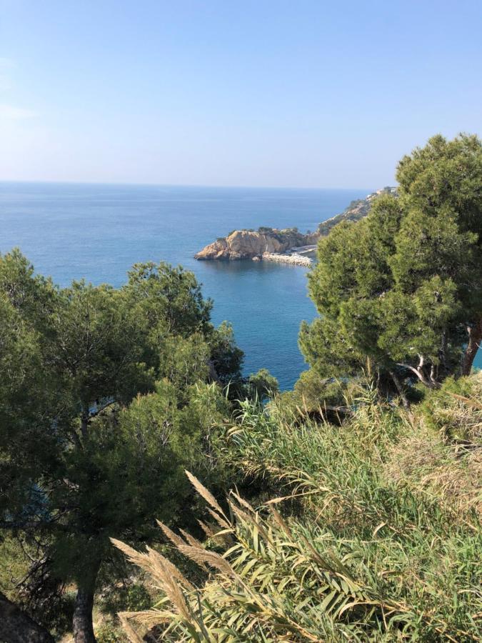 Les Terrasses Des Anthenors Bed & Breakfast Ensues-la-Redonne Exterior foto