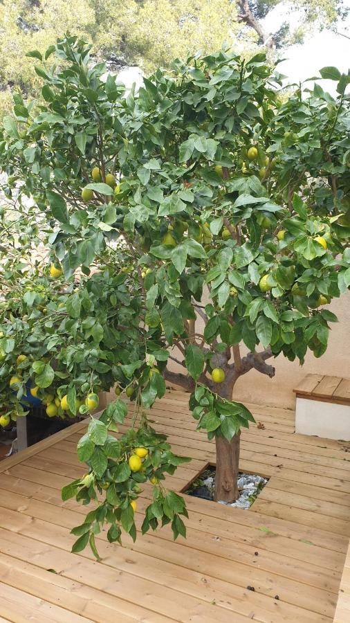 Les Terrasses Des Anthenors Bed & Breakfast Ensues-la-Redonne Exterior foto