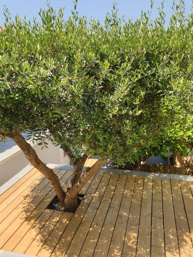Les Terrasses Des Anthenors Bed & Breakfast Ensues-la-Redonne Exterior foto